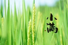 小满节气祝福语唯美文案（真诚祝福你乘风展远）