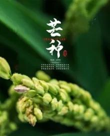 关于李梦鹤的芒种诗歌三首，芒种古诗文案短句赏析