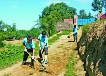 2022大学三下乡社会实践报告活动总结范文（大学生三下乡社会服务工作总结范例）