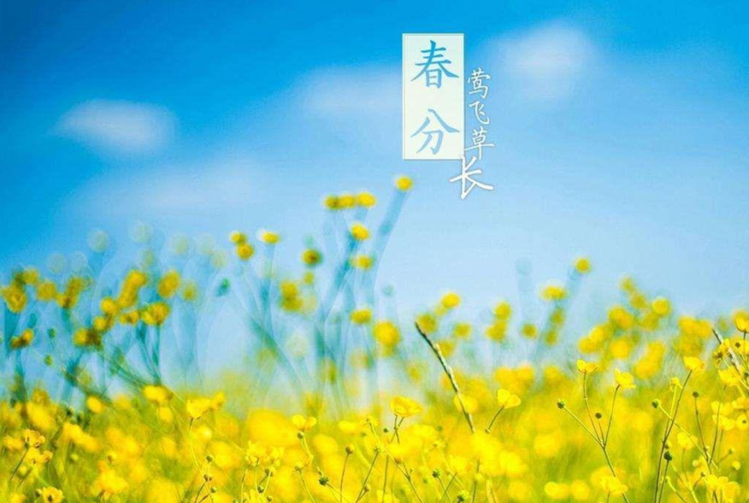 有关春分古诗词春分的诗句（满目鸟语花香，春光无限）