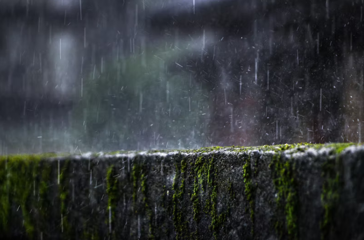 关于雨水节气的优美文案有哪些（精选70句雨水节气唯美短句）