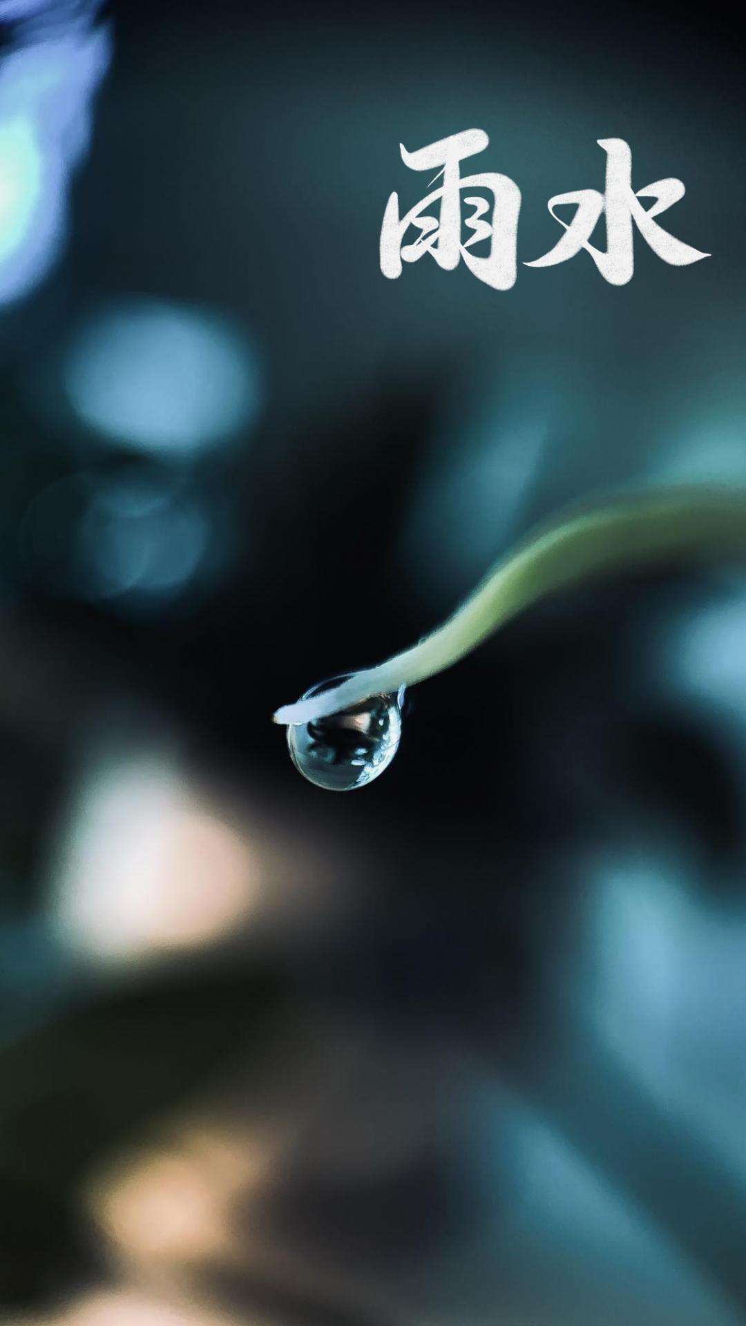 雨水节气正能量阳光祝福语录（愿你春暖花开，健康常在）