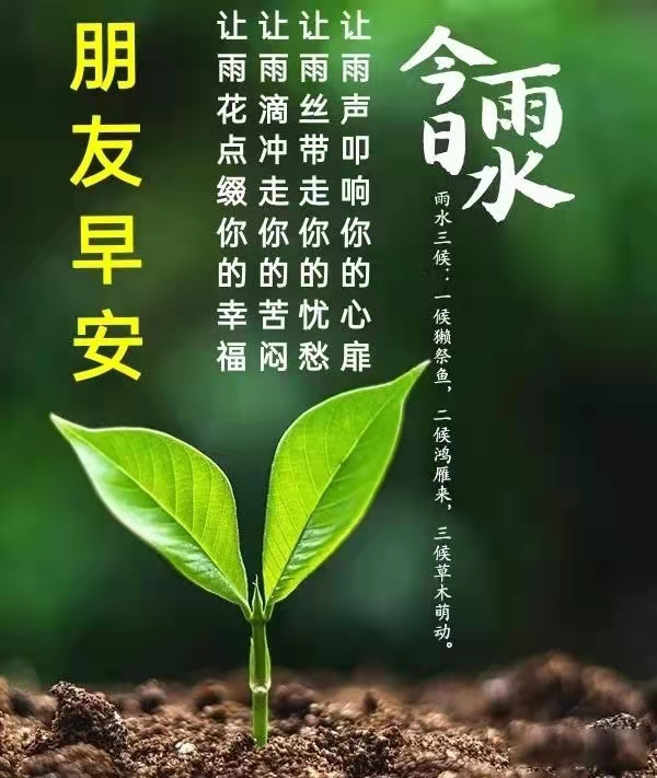 雨水节气正能量阳光祝福语录（愿你春暖花开，健康常在）