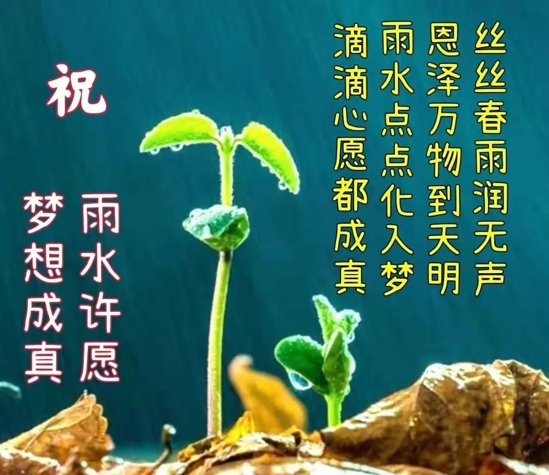 雨水节气正能量阳光祝福语录（愿你春暖花开，健康常在）