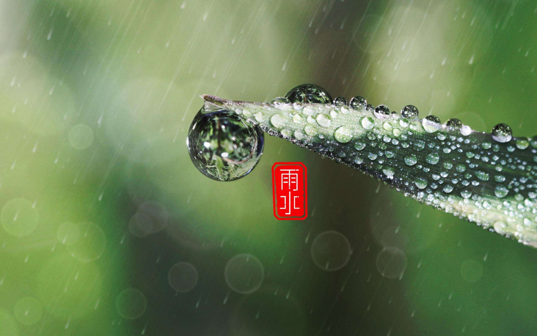 雨水节气正能量阳光祝福语录（愿你春暖花开，健康常在）