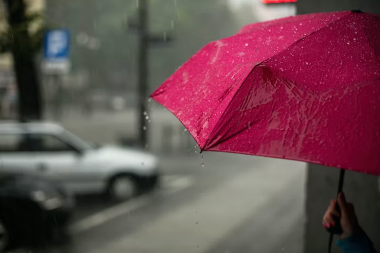 雨水时节快乐问候祝福语推荐（喜欢雨，因为舒心）