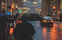 雨水时节快乐问候祝福语推荐（喜欢雨，因为舒心）