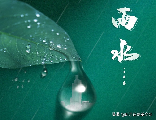 雨水节气的高级浪漫文案（一场春雨一场暖，一份相思一份情）