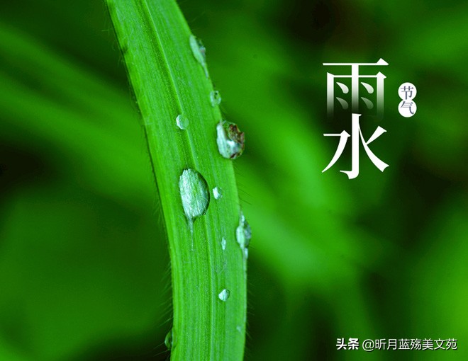 雨水节气的高级浪漫文案（一场春雨一场暖，一份相思一份情）