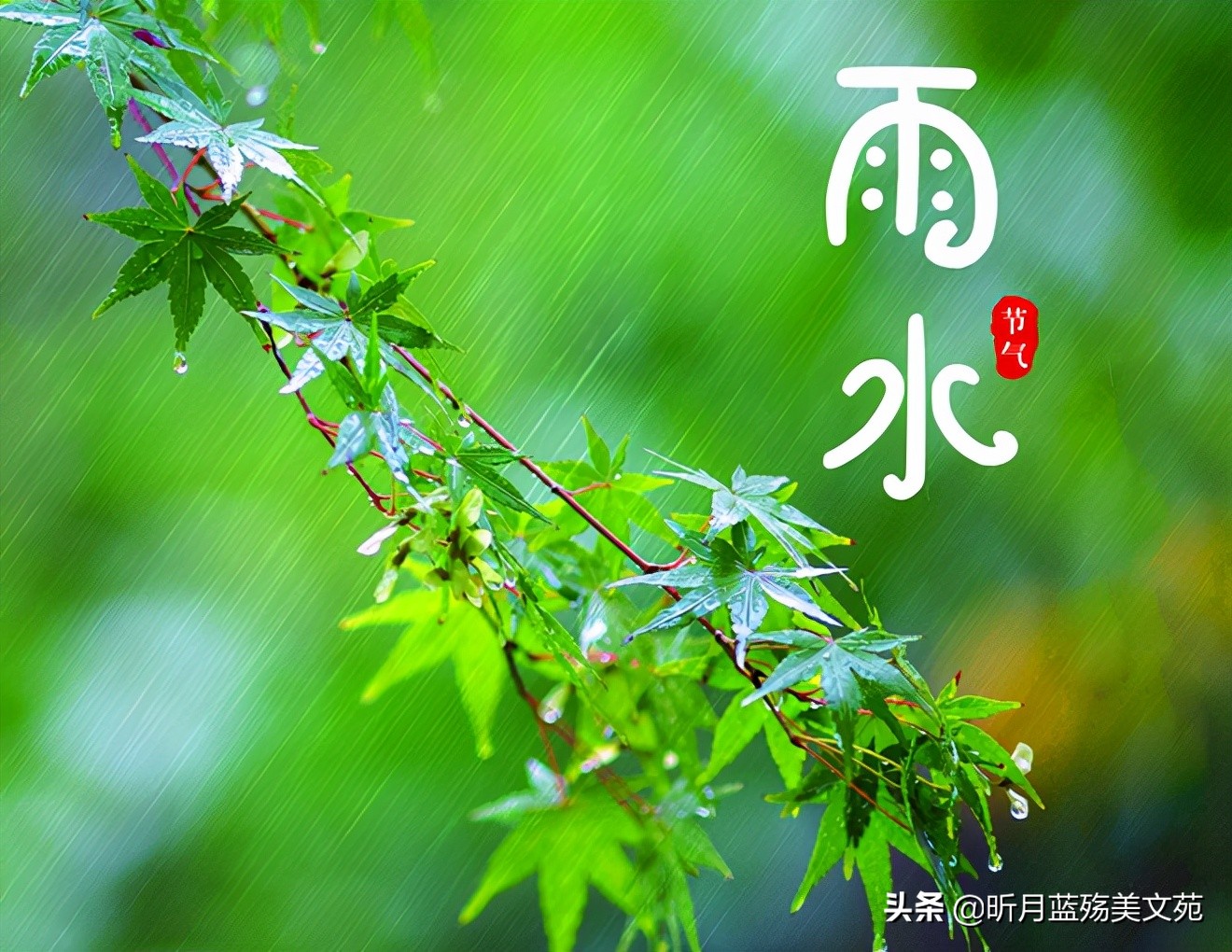 雨水节气的高级浪漫文案（一场春雨一场暖，一份相思一份情）