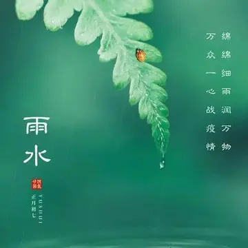 有关雨水节气文案经典语录（时光悠悠，心情如风）