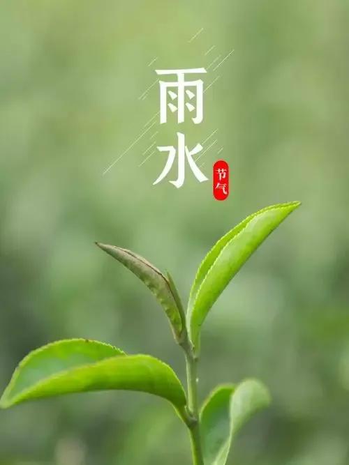 春雨细无声，愿你生命永远有活力（2022雨水节气祝福语文案）