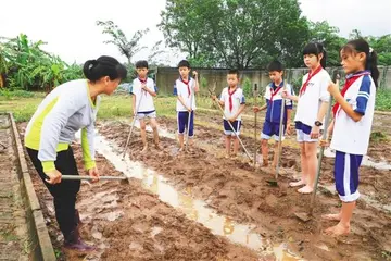 2022校外劳动课新时代劳动教育活动总结模板（体验农活新时代劳动教育工作总结范本）