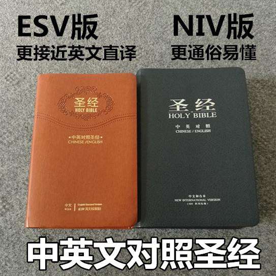 关于圣经里面的经典句子（圣经中英文励志25句名言）