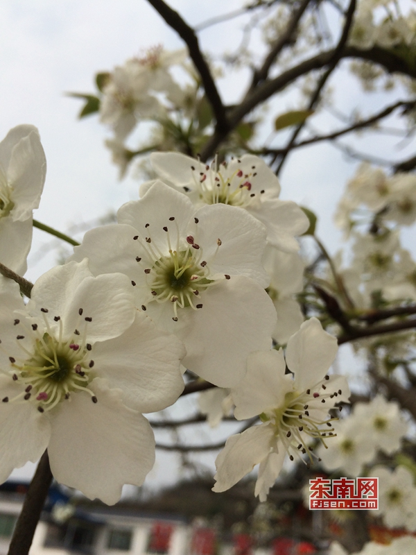 赞美立春美好祝愿的诗句（关于立春的诗词句子）