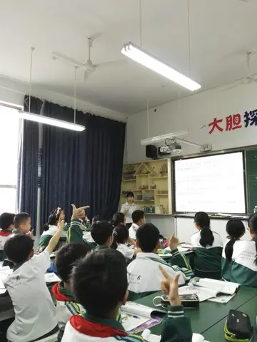 2022小学科学教案及模板（精选10篇小学科学优秀教学设计案例）