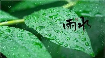 二十四节气雨水暖心寄语，有关雨水时节快乐问候祝福语