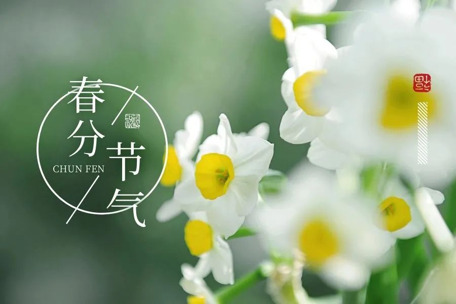 2022春分暖心早安祝福美句（生活精彩喜纷纷，春分快乐）