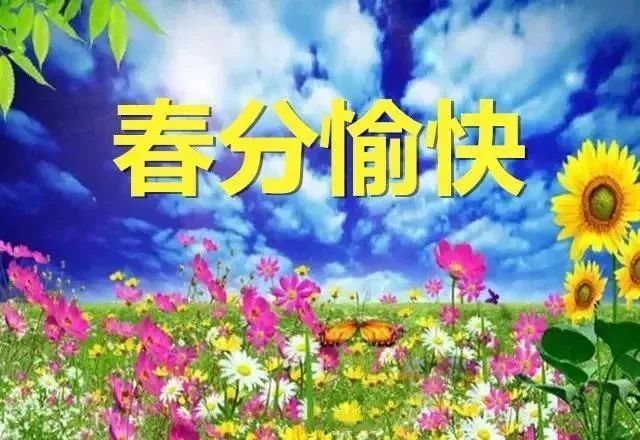 2022春分暖心早安祝福美句（生活精彩喜纷纷，春分快乐）