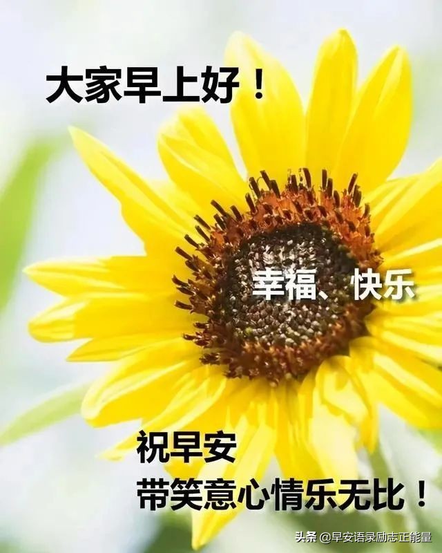 早安心灵鸡汤正能量经典语录（你只有足够强大，才不会被别人践踏）