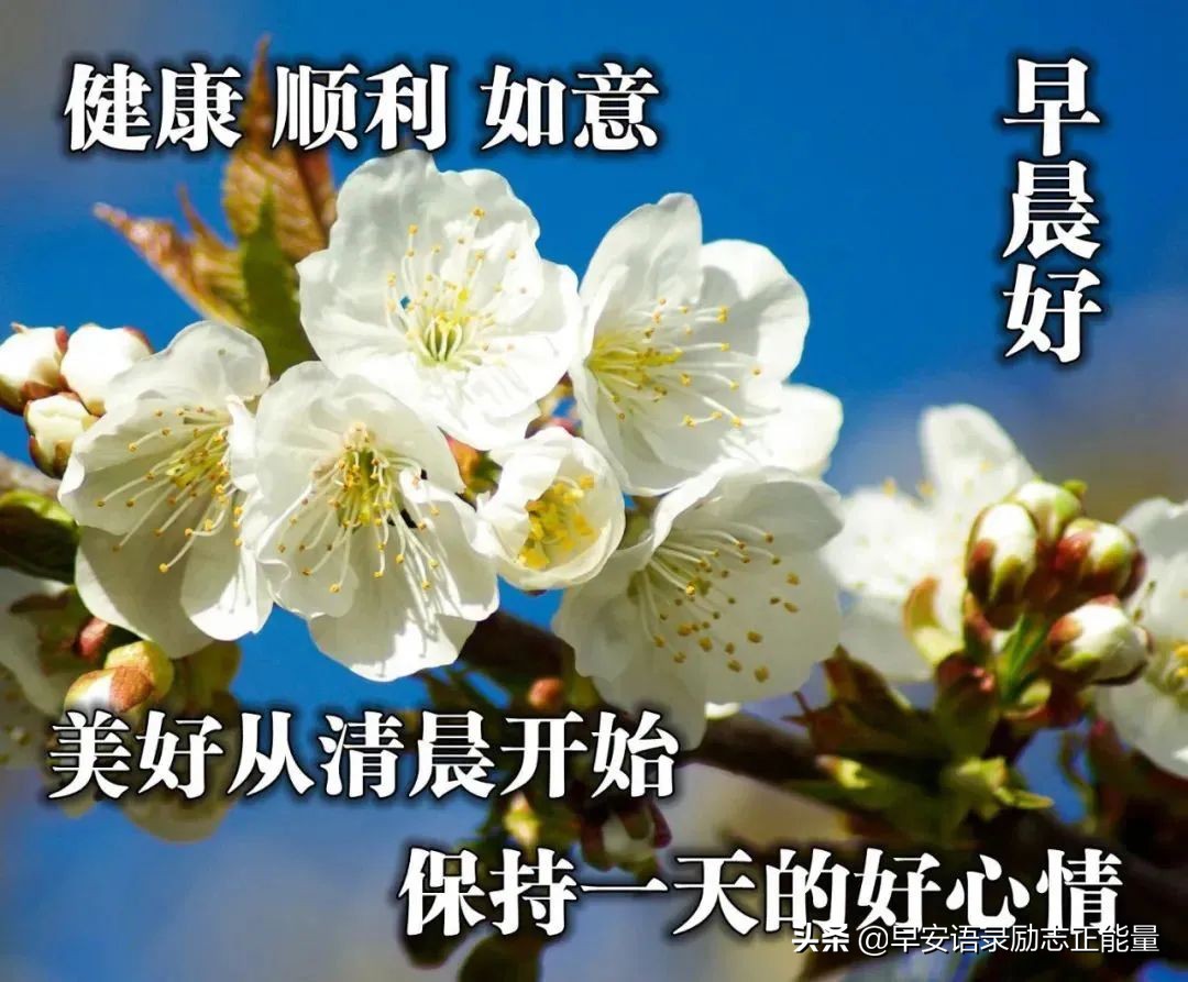 早安心灵鸡汤正能量经典语录（你只有足够强大，才不会被别人践踏）