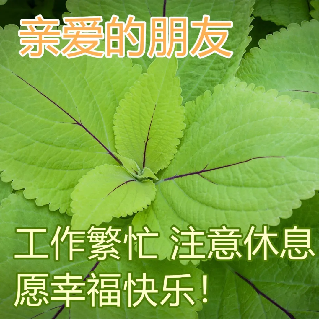 适合所有人的早安祝福问候语（人生不能虚度，自己要对得起自己）