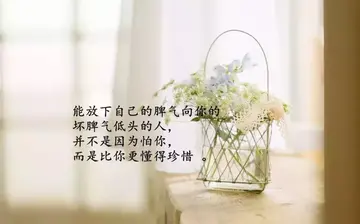 有关励志人生的感悟格言（只要你愿意，永远都不算晚）