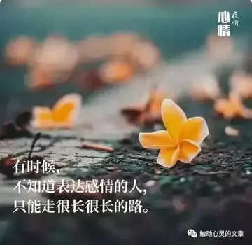 有关鼓励正能量的经典短句（能力不大，欲望就不要太大）