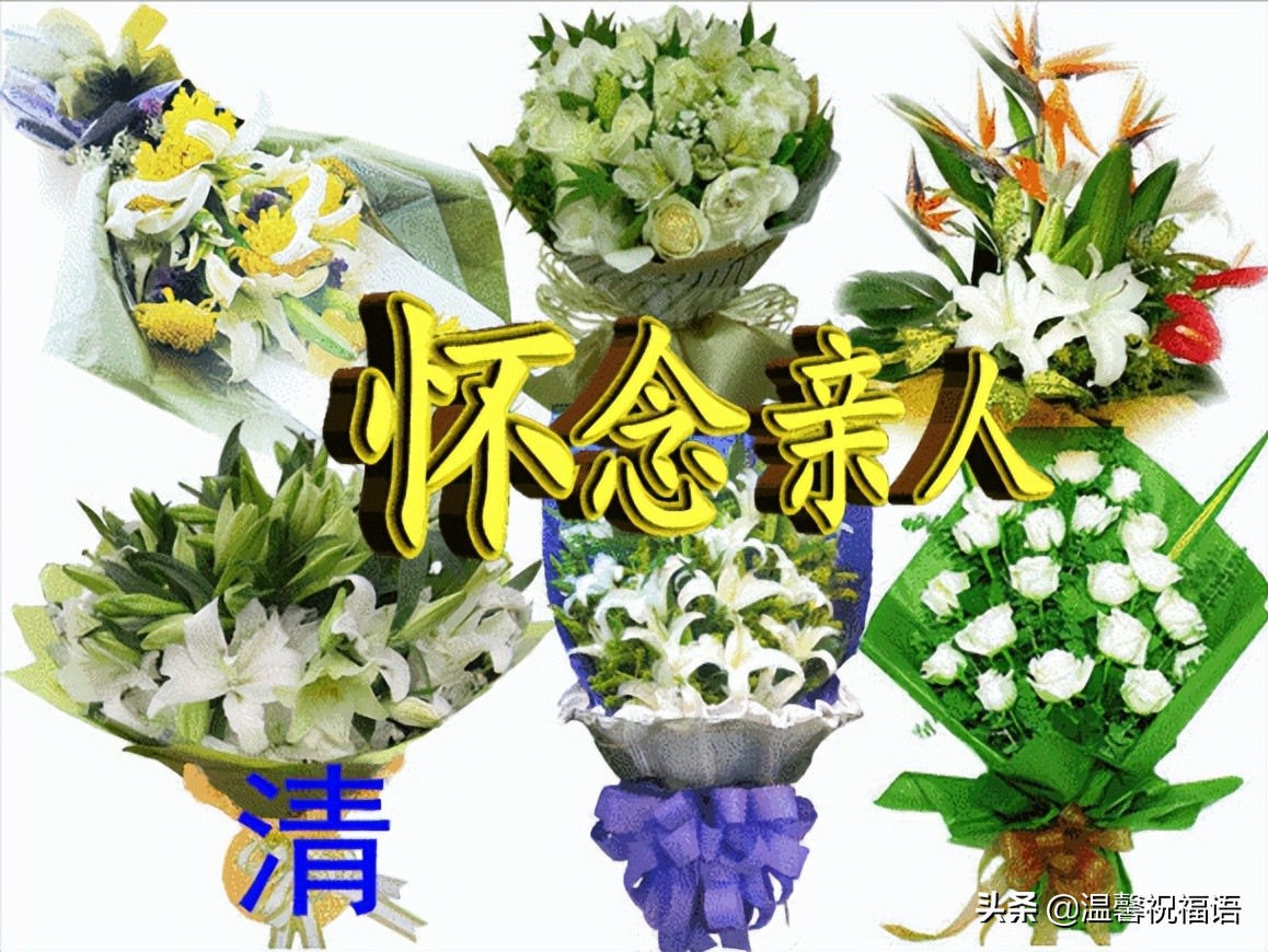 清明节安康问候语简短语句（愿你幸福乐逍遥，清明节快乐）