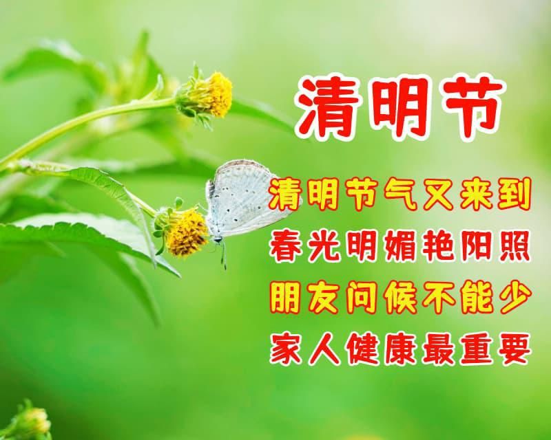 有关清明节问候语推荐（清明节到，愿君幸福）