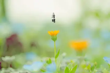 清明节温馨祝福语推荐（珍惜生活，把握现在）