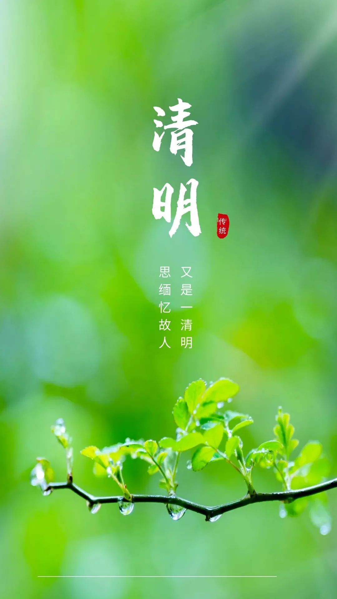 表达清明节朋友圈祝福语（心情随生活而生动）