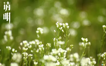 关于清明假期创意文案祝福语（春雨滋润万物，声迎温暖）