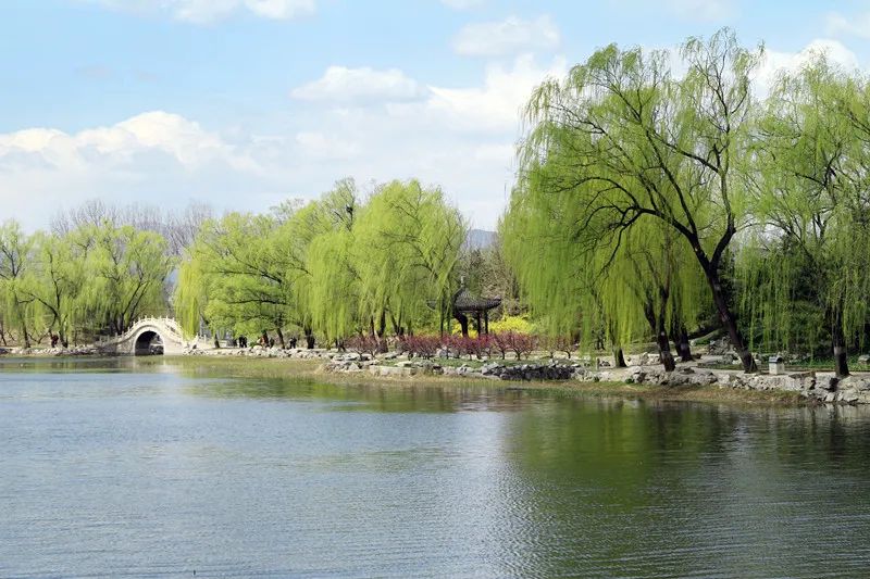 形容春季的100首春光诗词，令人赏心悦目的春天美景