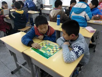 2022学校棋类社团建设工作总结报告模板（院校开展棋社社团建设活动总结范本）