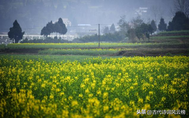 关于唐诗宋词中最美的思乡名句（赞美乡情的诗词赏析）