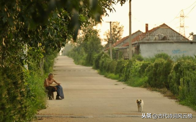 关于唐诗宋词中最美的思乡名句（赞美乡情的诗词赏析）