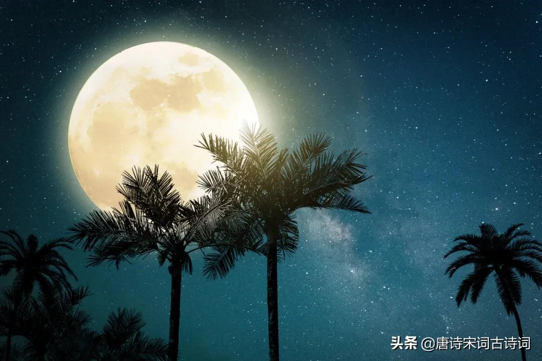 形容月光的唯美诗词古句（秋天，风景如诗如画）