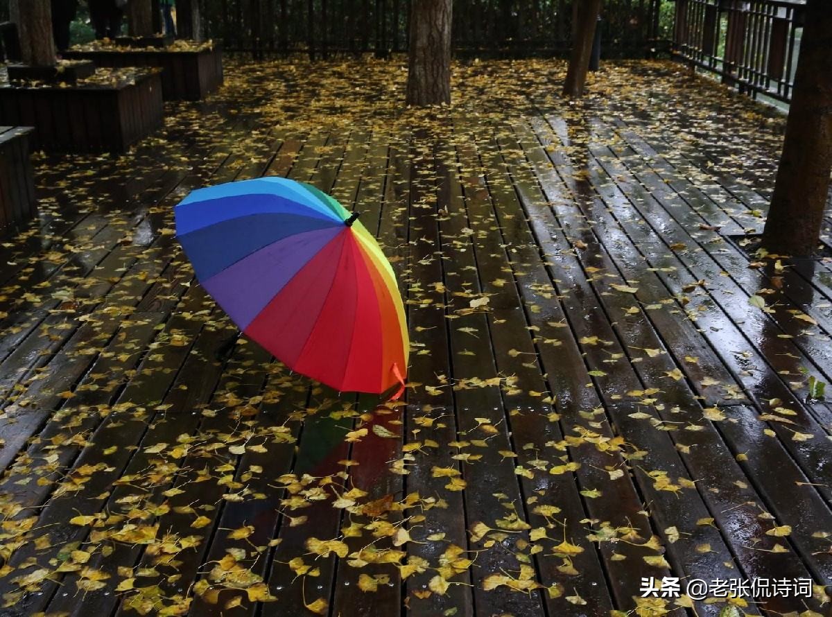 描写雨的夜晚的诗句（雨夜感慨的诗句推荐）