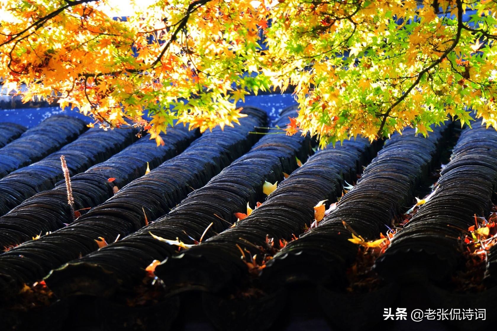 孟浩然唐诗的千古名句有哪些（孟浩然唐诗的经典诗句赏析）