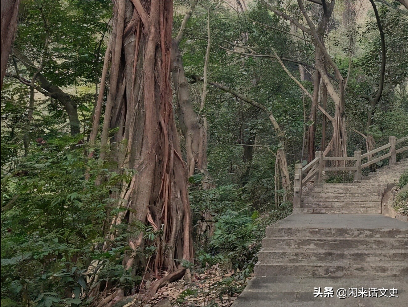 王维的山水诗的名句大全（推荐王维三首精彩的五绝山水诗）