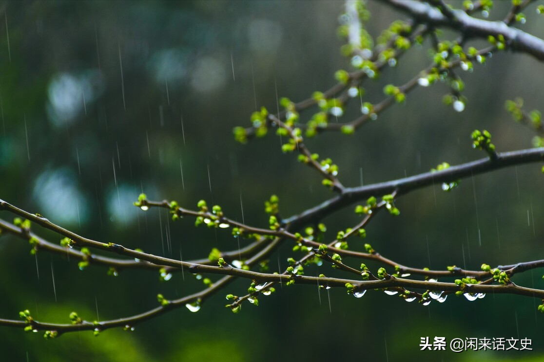 杨万里诗句写的诗大全（关于杨万里的幽默风趣雨中古诗词）