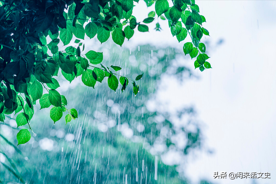 杨万里诗句写的诗大全（关于杨万里的幽默风趣雨中古诗词）