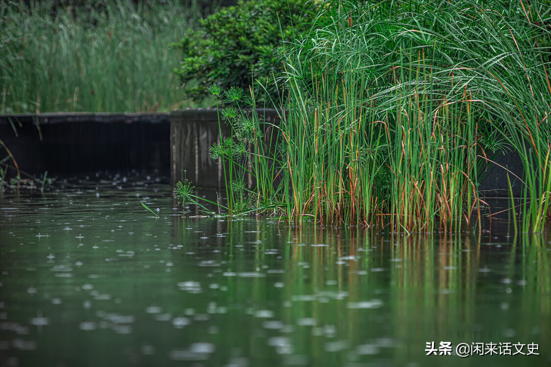 杨万里诗句写的诗大全（关于杨万里的幽默风趣雨中古诗词）