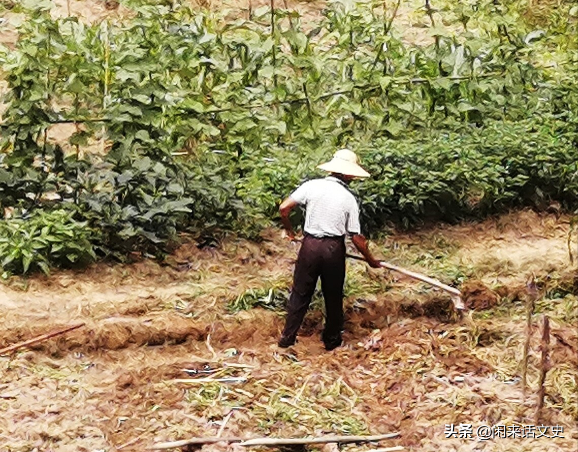 关于二十四节气小满的诗句，小满的优美短句赏析