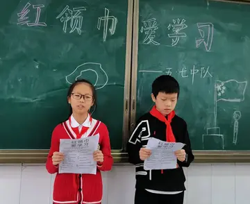 2022红领巾爱学习主题活动心得体会范文（红领巾爱学习宣传教育心得感悟范例）