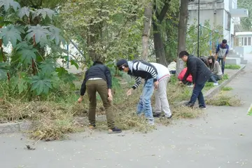 感悟劳动作文800字（劳动的人最美丽）