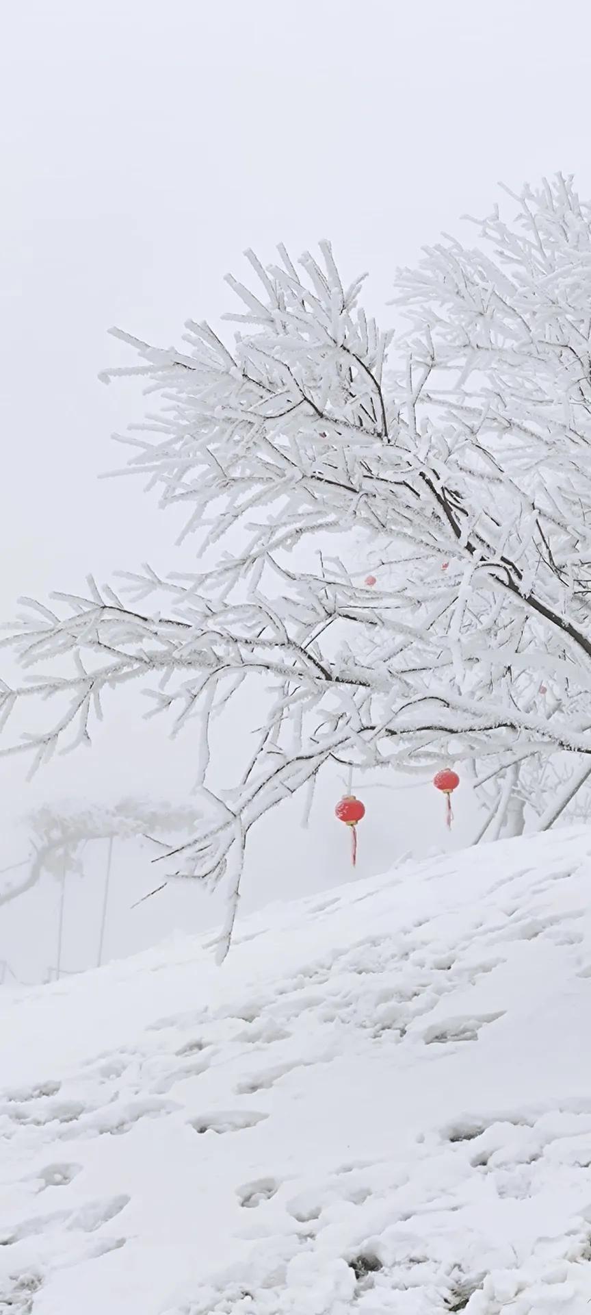 适合下雪天发朋友圈的文案（描写大雪的高级感文案）