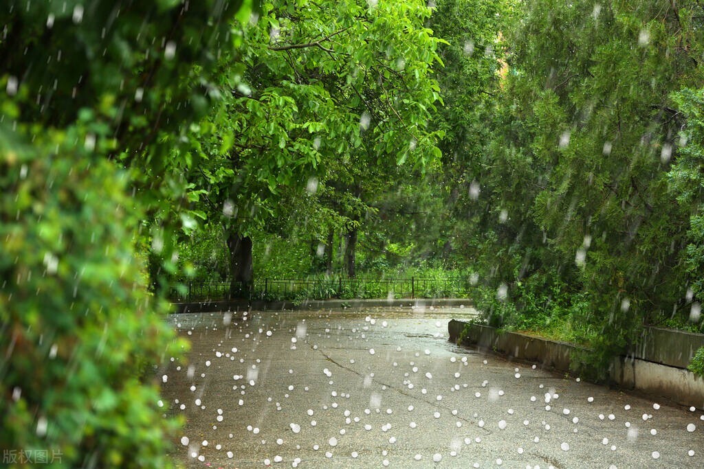 有关雨的文案短句干净治愈（赞美下雨天的走心短句）