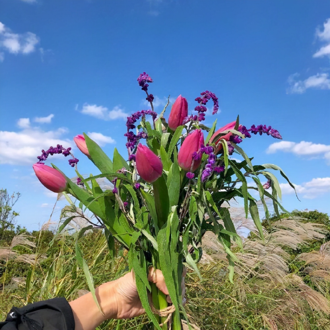 有关治愈心灵的晚安说说赏析（希望如火，失望如烟）